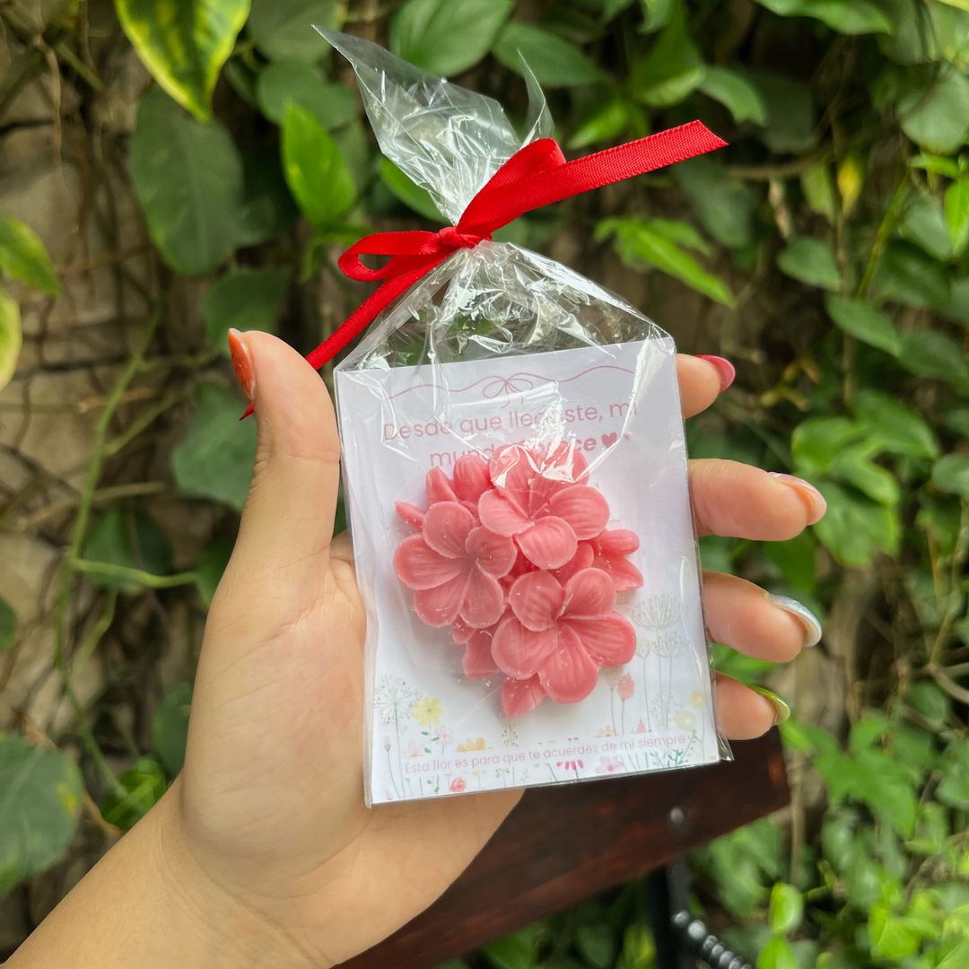 Aromatizador Floral de Soya