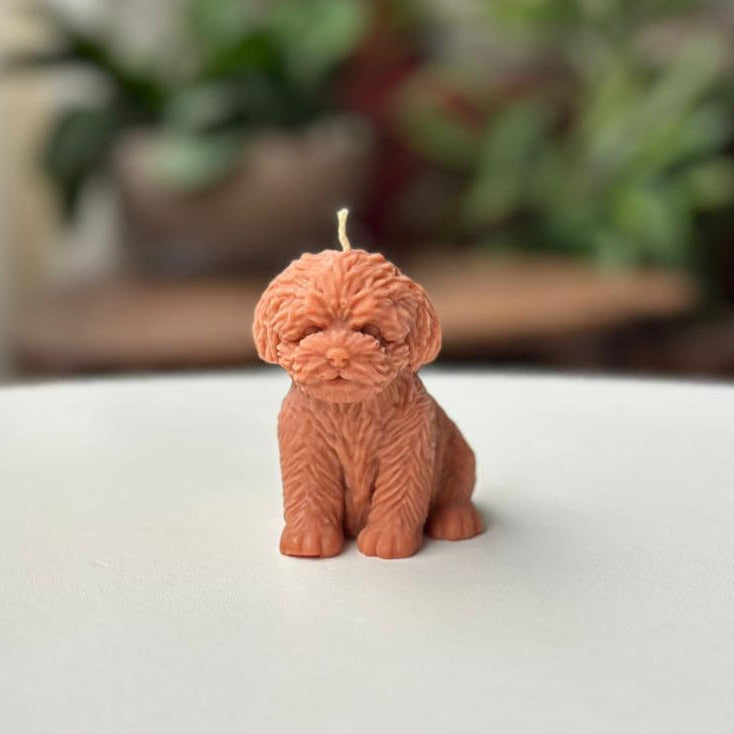 Vela Perro – Un detalle especial para los amantes de los animales