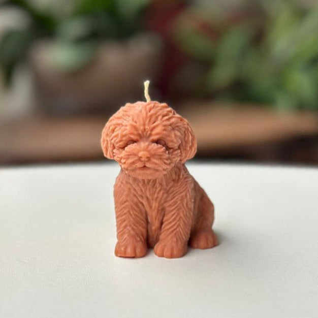 Vela Perro – Un detalle especial para los amantes de los animales
