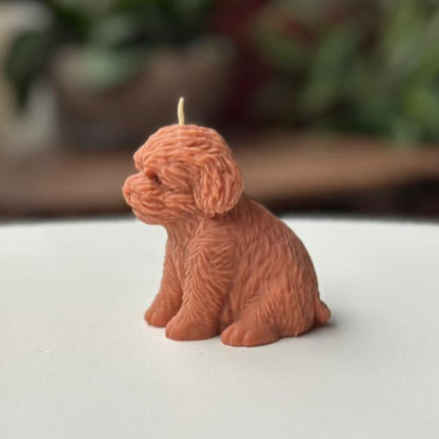 Vela Perro – Un detalle especial para los amantes de los animales