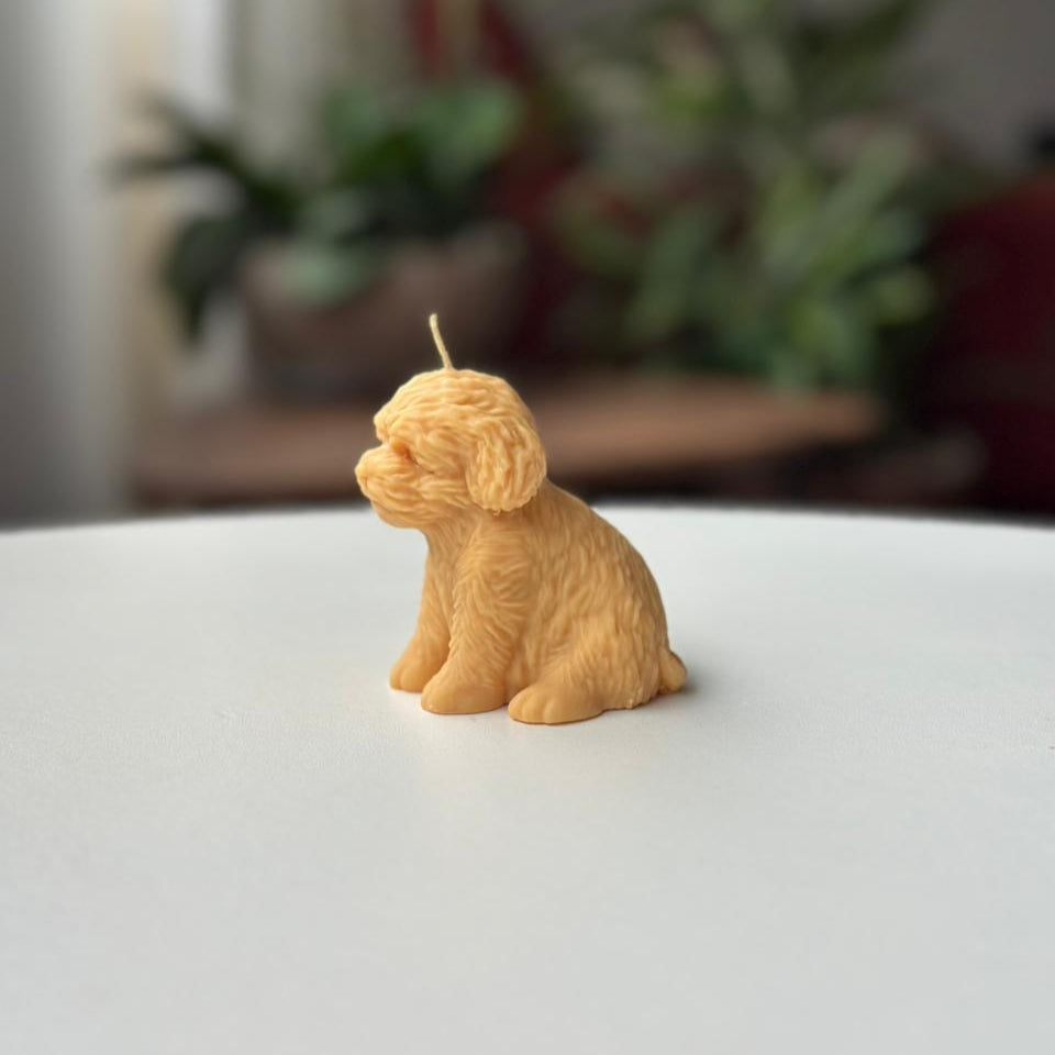 Vela Perro – Un detalle especial para los amantes de los animales