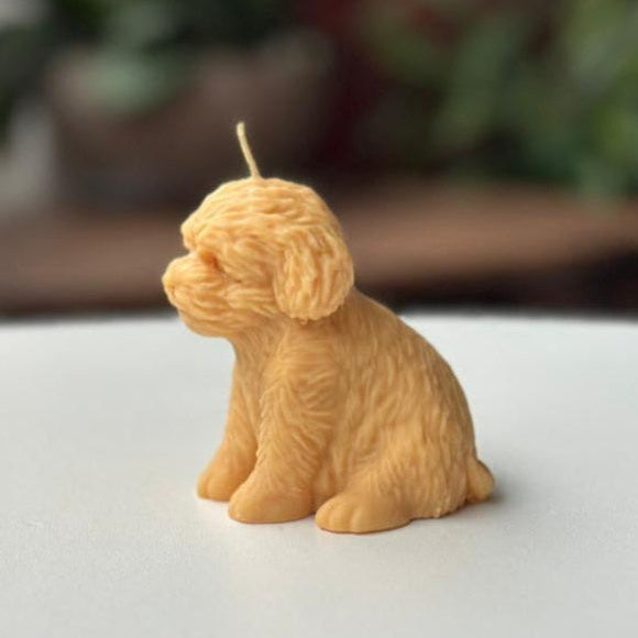 Vela Perro – Un detalle especial para los amantes de los animales