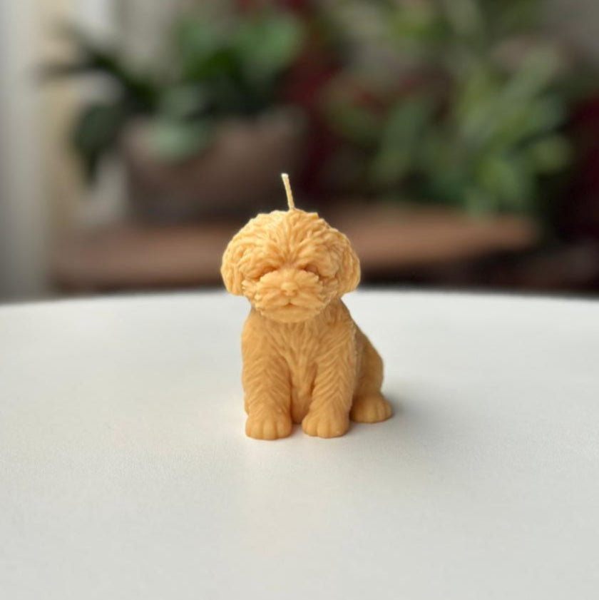 Vela Perro – Un detalle especial para los amantes de los animales