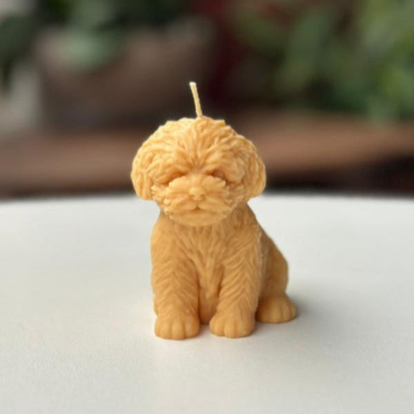 Vela Perro – Un detalle especial para los amantes de los animales