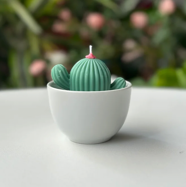 Velas Suculentas - Cactus & Jade