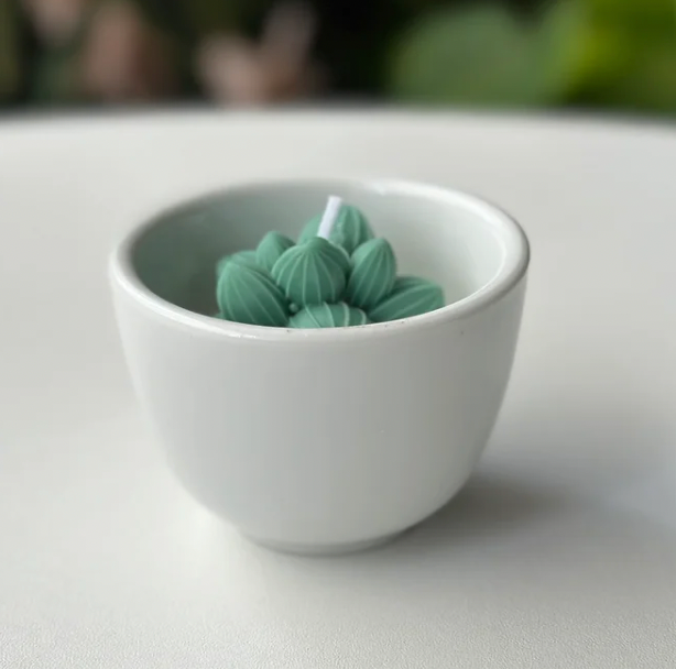 Velas Suculentas - Cactus & Jade