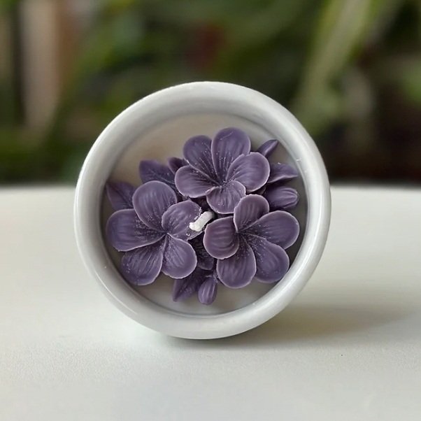 Vela Plumeria – Elegancia Floral en tu Espacio
