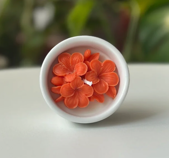 Vela Plumeria – Elegancia Floral en tu Espacio
