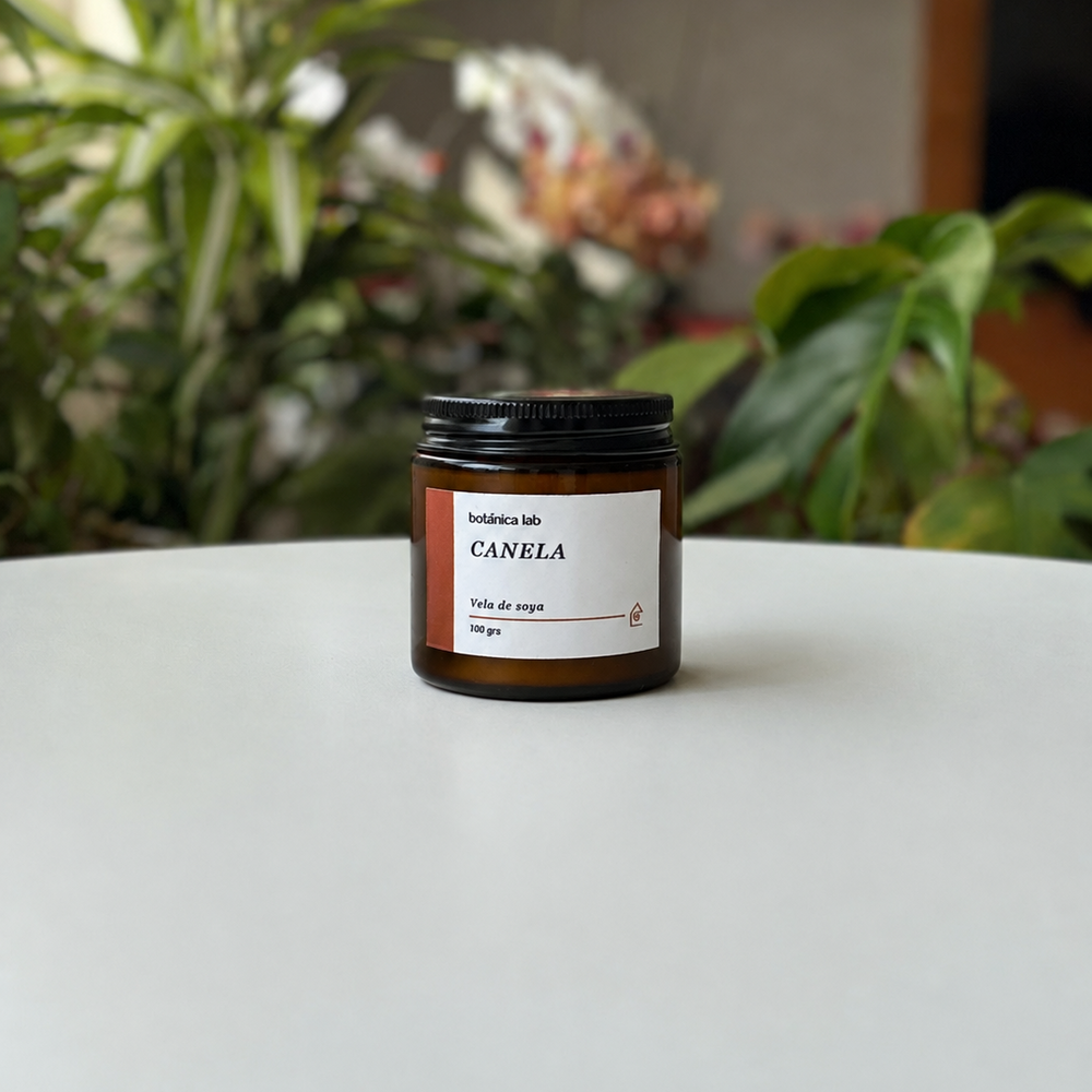 Vela Home 100 g