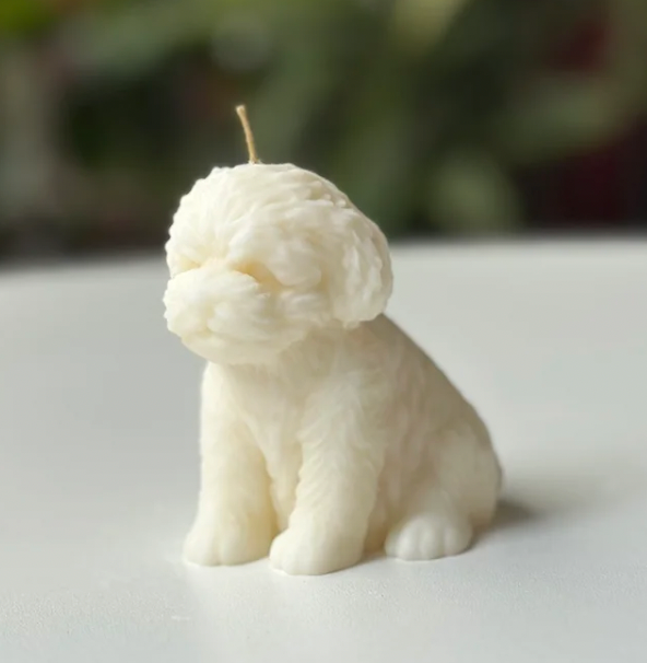 Vela Perro – Un detalle especial para los amantes de los animales