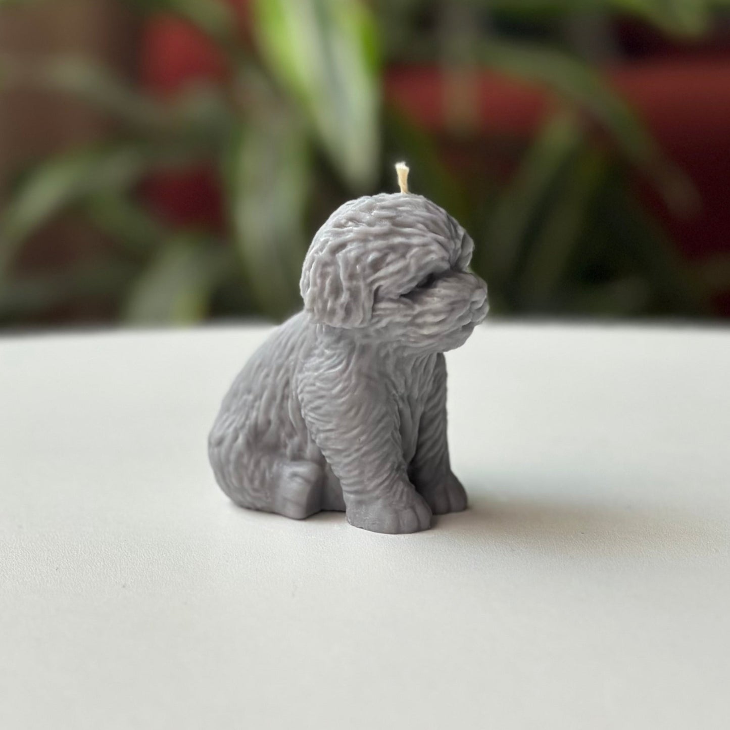 Vela Perro – Un detalle especial para los amantes de los animales