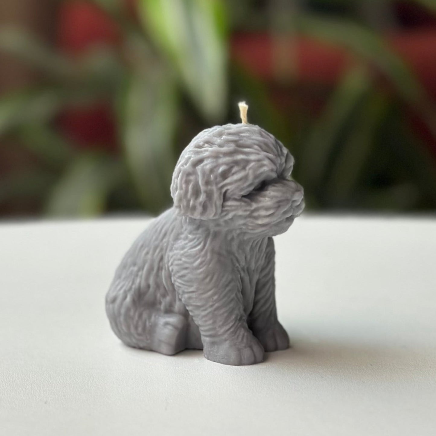 Vela Perro – Un detalle especial para los amantes de los animales