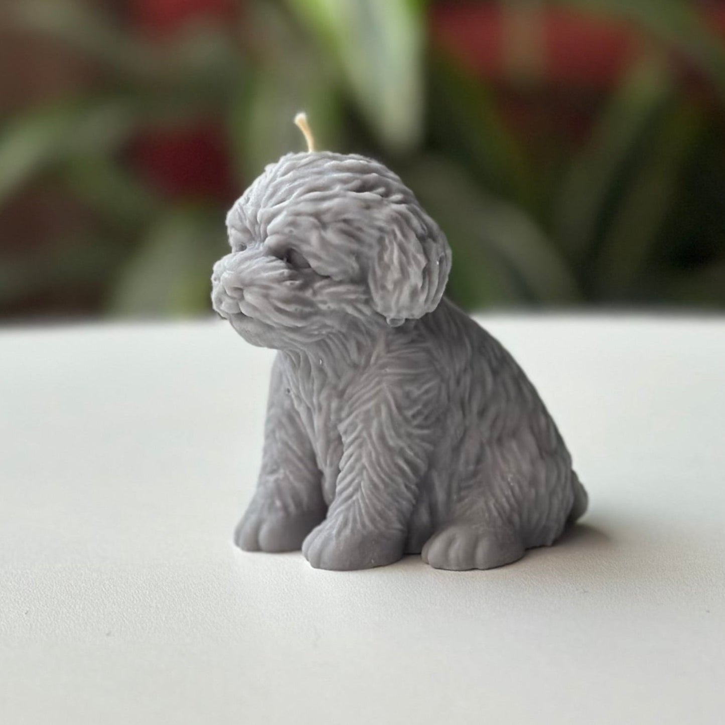 Vela Perro – Un detalle especial para los amantes de los animales