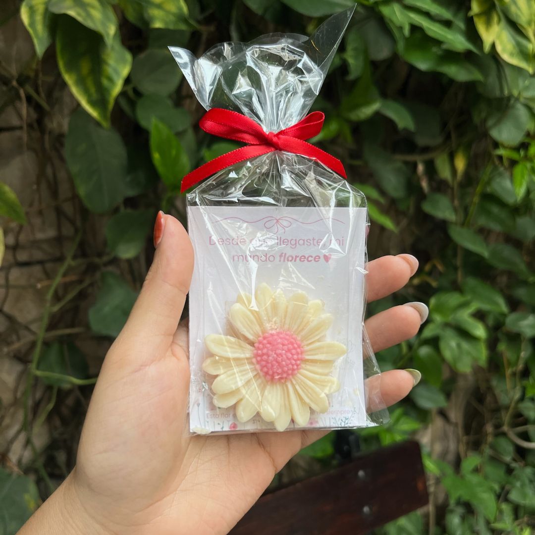 Aromatizador Floral de Soya