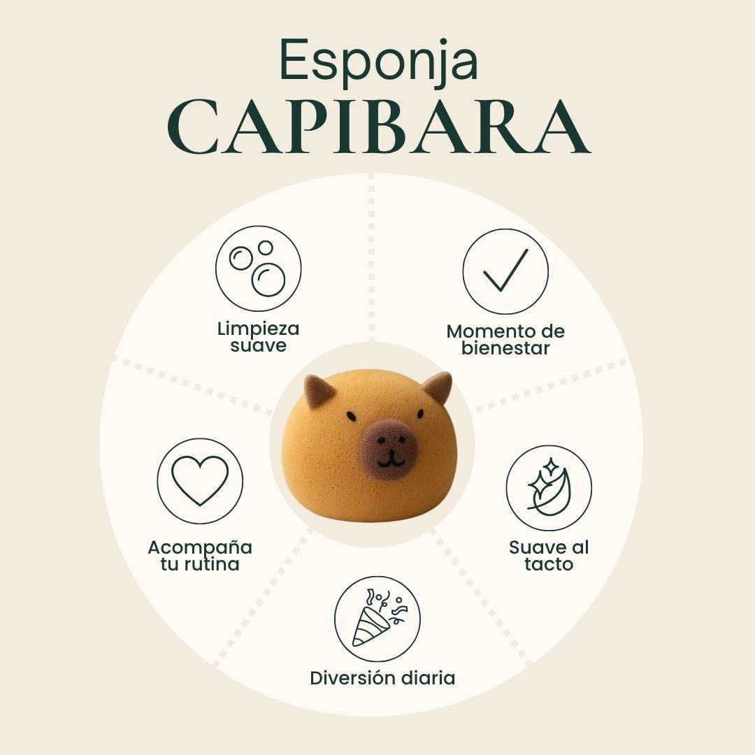 Esponja Capibara