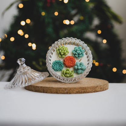 Vela Bombonera Terrario