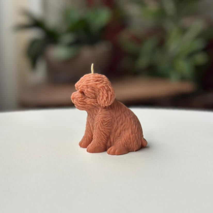 Vela Perro – Un detalle especial para los amantes de los animales