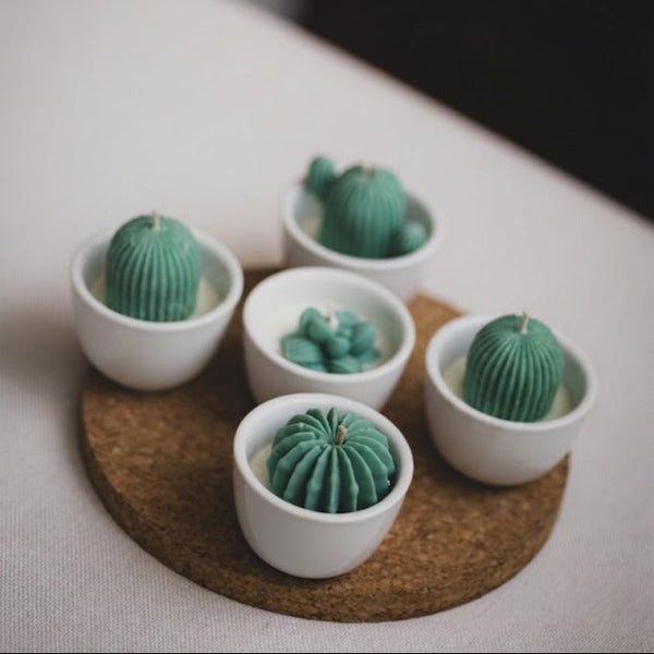 Velas Suculentas - Cactus & Jade