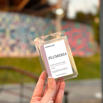 Quemador de Cerámica + Ceras Aromáticas – Ritual de Aromaterapia en Casa