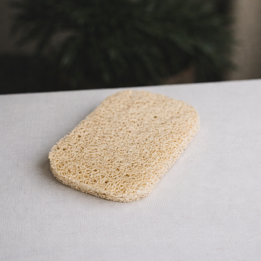 Jabonera con Drenaje – Mantén tus Sólidos Siempre Secos