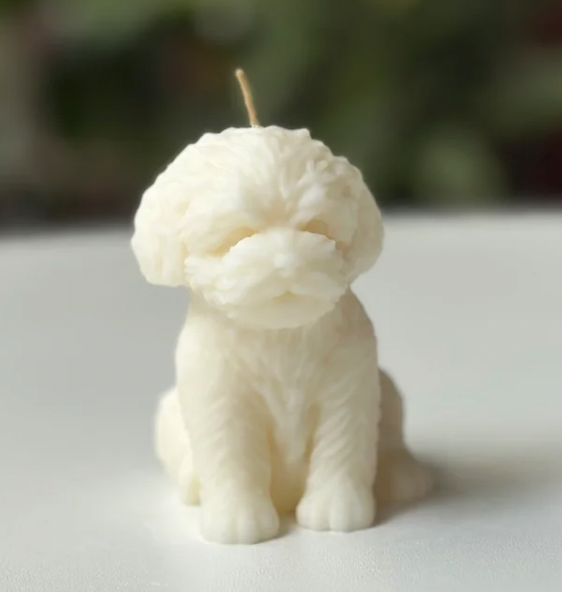 Vela Perro – Un detalle especial para los amantes de los animales
