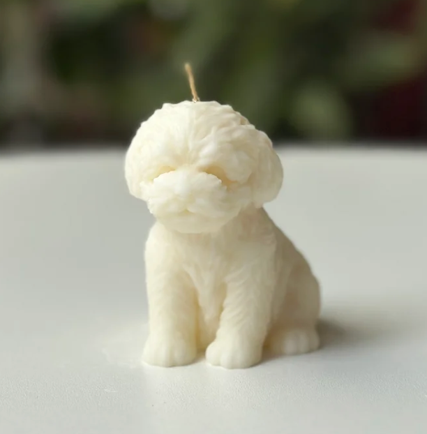 Vela Perro – Un detalle especial para los amantes de los animales