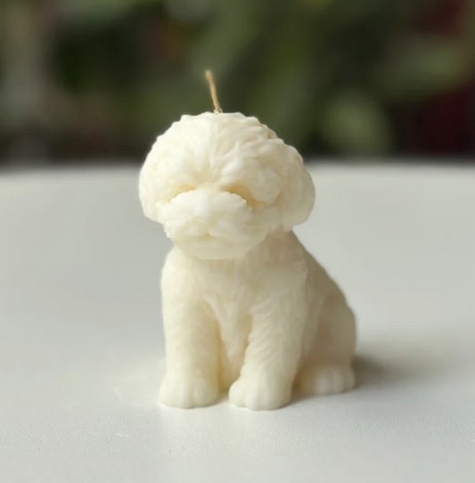 Vela Perro – Un detalle especial para los amantes de los animales