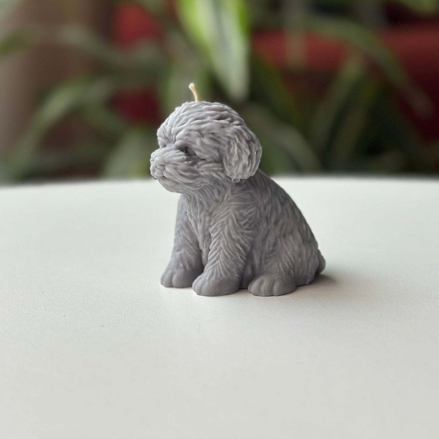 Vela Perro – Un detalle especial para los amantes de los animales
